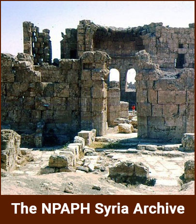 npaph-syria