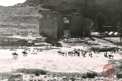 cSearightpPetra21-Petra-1963-Qasr-el-Bint