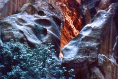 cSearightpPetra35-Petra-1980