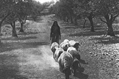 cSearightpPostcard3-On-the-Way-to-Bethlehem-postcard-1931