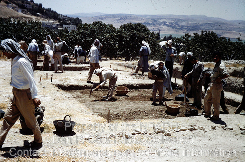Fld VII Beginning several more 5-meter square areas to expand field (1962, ID: cColepShechem005, Source: slide, Repository: NPAPH-project, Creator(s): Dan P. Cole)