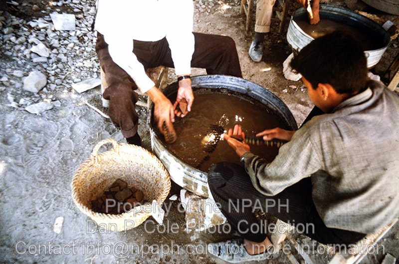 Potshed; Pottery from each locus (note basket tag) washed separately. (1966, ID: cColepShechem020, Source: slide, Repository: NPAPH-project, Creator(s): Dan P. Cole)