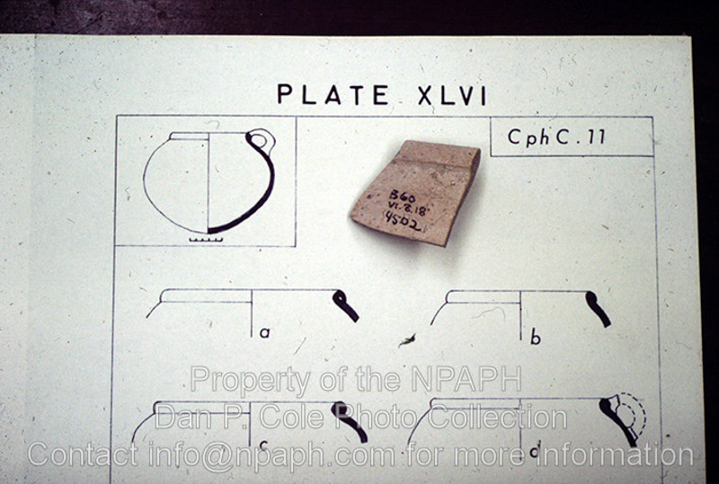 Report; Registered sherd shown on final report plate. (1966, ID: cColepShechem022, Source: slide, Repository: NPAPH-project, Creator(s): Dan P. Cole)