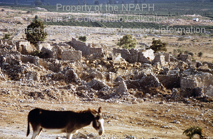 Gezer; Arab village abandoned in 1940s, stone walls disintegrating. (1966, ID: cColepvarious048, Source: slide, Repository: NPAPH-project, Creator(s): Dan P. Cole)