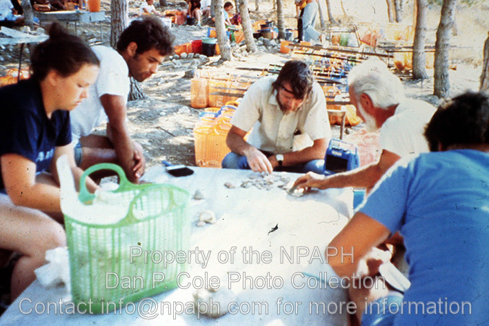 Potsherd; Washed potsherds are examined for evidence of type and date. (1980, ID: cColepHalif108, Source: slide, Repostitory: NPAPH-project, Creator(s): Dan P. Cole)