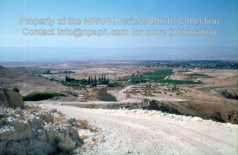 Tell Abu es-Alayik, Herodian Jericho (1973; ID: cVriezenpAbuel-Alayik1595; Source: photo; Repository: NPAPH; Creator: K. Vriezen)