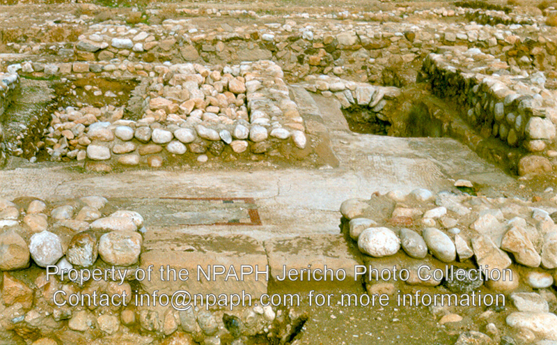 Tell Abu es-Alayik, Herodian Jericho (1980; ID: cVriezenpAbuel-Alayik2088; Source: photo; Repository: NPAPH; Creator: K. Vriezen)