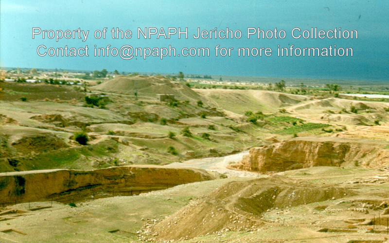 Tell Abu es-Alayik, Herodian Jericho (1980; ID: cVriezenpAbuel-Alayik2090; Source: photo; Repository: NPAPH; Creator: K. Vriezen)
