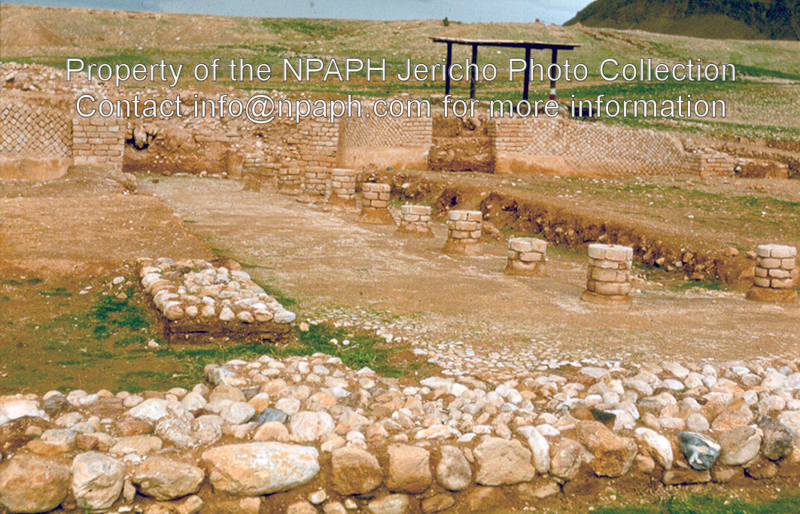 Tell Abu es-Alayik, Herodian Jericho (1980; ID: cVriezenpAbuel-Alayik2096; Source: photo; Repository: NPAPH; Creator: K. Vriezen)