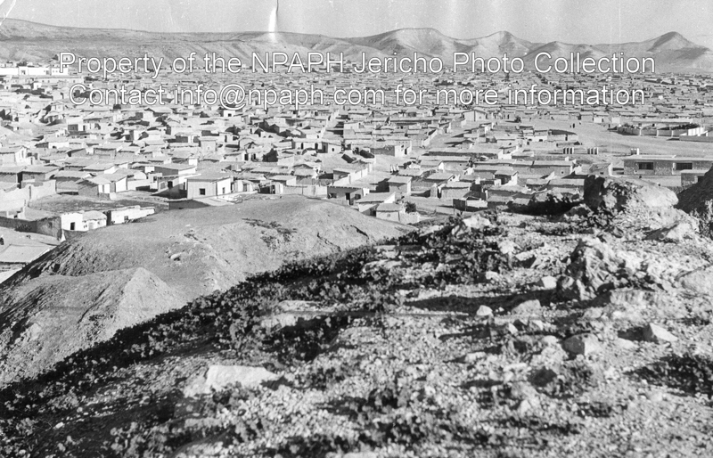 Ein es-Sultan seen from top of tell (22th Feb 1956; ID: cSpurgeonpSultan8; Source: photo; Repository: NPAPH; Creator: David Spurgeon)