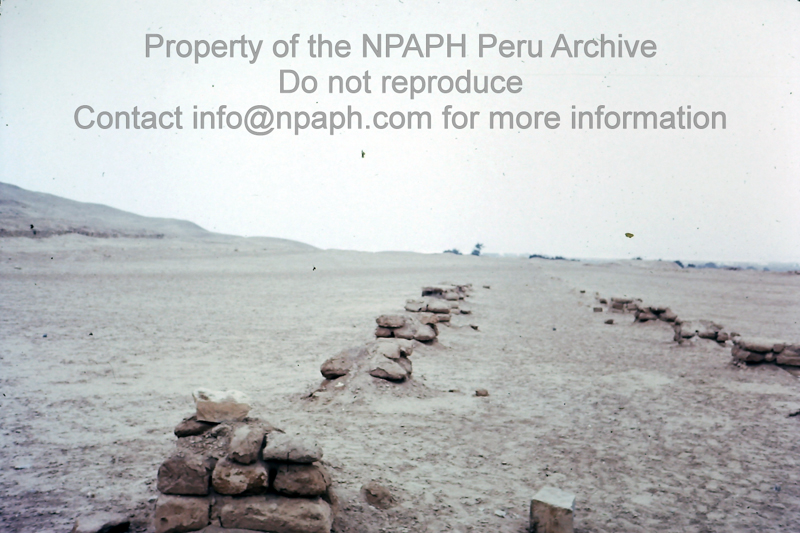 Pachacamac (major long – occupied site) (May 1975; ID: cTugenpPeru0005; Source: slide; Depository: NPAPH; Creator: Philip Tugendrajch)
