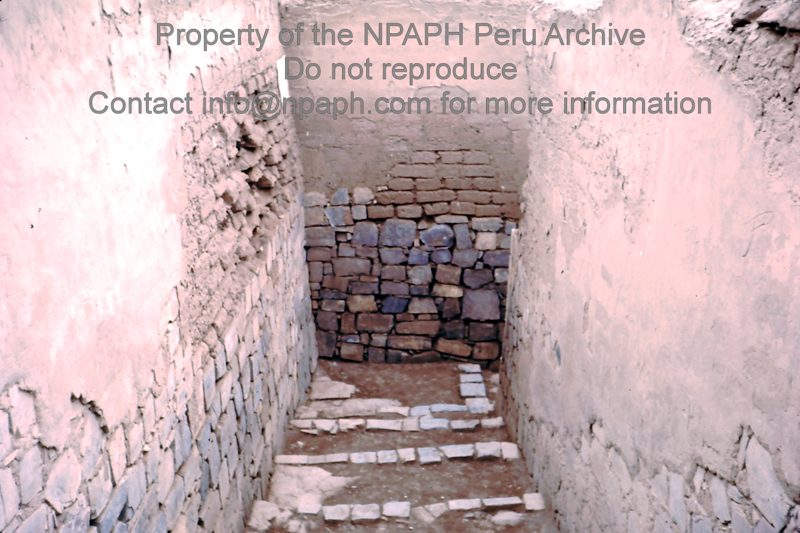 Pachacamac (major long – occupied site) (May 1975; ID: cTugenpPeru0012; Source: slide; Depository: NPAPH; Creator: Philip Tugendrajch)