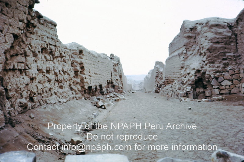 Pachacamac (major long – occupied site) (May 1975; ID: cTugenpPeru0013; Source: slide; Depository: NPAPH; Creator: Philip Tugendrajch)