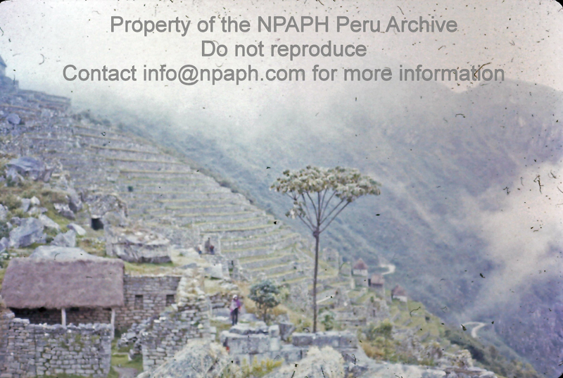Machu Picchu (1975-1976; ID: cTugenpPeru0293; Source: slide; Depository: NPAPH; Creator: Philip Tugendrajch)
