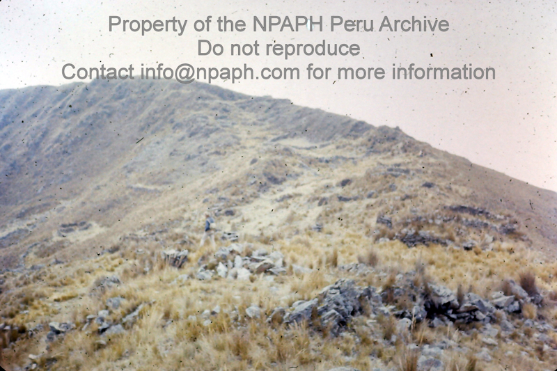 Upper Huasahuasi Region? (1975-1976; ID: cTugenpPeru0375; Source: slide; Depository: NPAPH; Creator: Philip Tugendrajch)