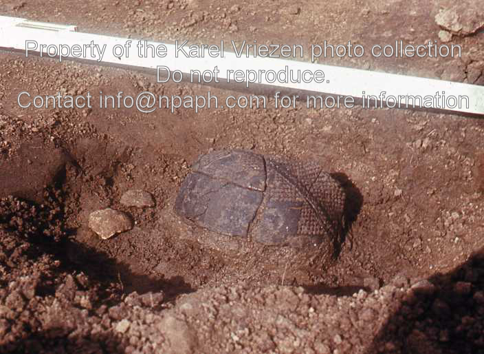 Pottery found at the excavation of a Linear Band Ware settlement in Hienheim, Germany, by Prof. P.J.R. Modderman (April 1970; ID: cVriezenpHien012; Source: slide; Repository: NPAPH; Creator: K. Vriezen)