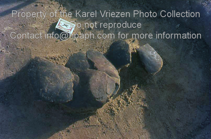 Pottery found at the excavation of a Late Bronze Age settlement and grave field in “Laag Spul” (Hilvarenbeek) (Sep-Oct 1969; ID: cVriezenpHil007; Source: slide; Repository: NPAPH; Creator: K. Vriezen)