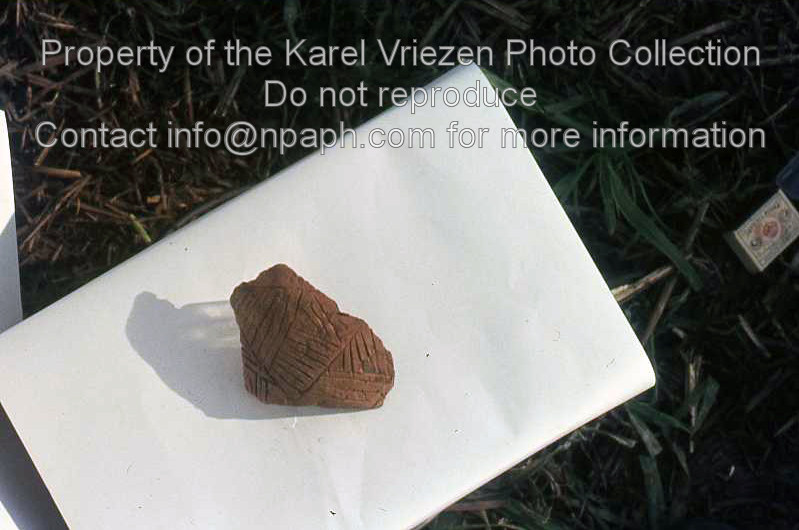 Pottery found at the excavation of a Late Bronze Age settlement and grave field in “Laag Spul” (Hilvarenbeek) (Sep-Oct 1969; ID: cVriezenpHil008; Source: slide; Repository: NPAPH; Creator: K. Vriezen)