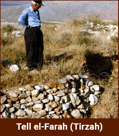 tell-el-farah